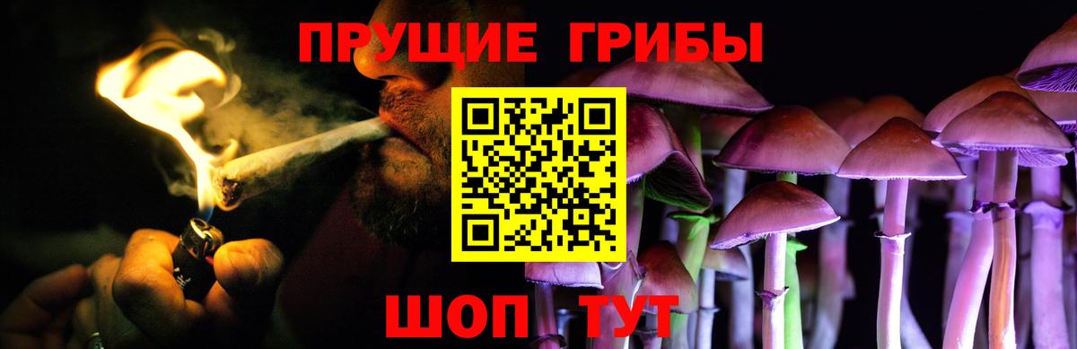 Кумертау  Галлюциногенные грибы Cubensis  Вход с VPN 